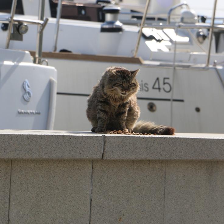 Maritime lifestyle captured